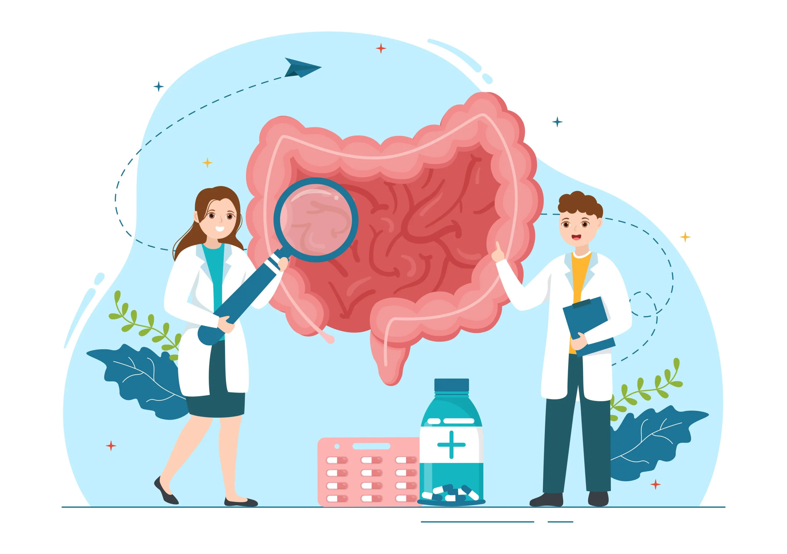 two doctors examining the digestive tract to explain IBS vs IBD.